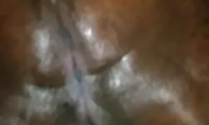 വലിയ കഴുതയും കറുത്ത  ...