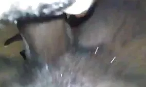 എബോണി രാജ്ഞി കറുത്ത  ...